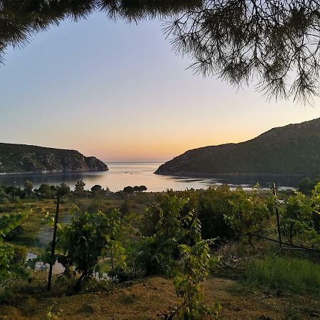 Porto Koufo Resort Bungalows Zewnętrze zdjęcie