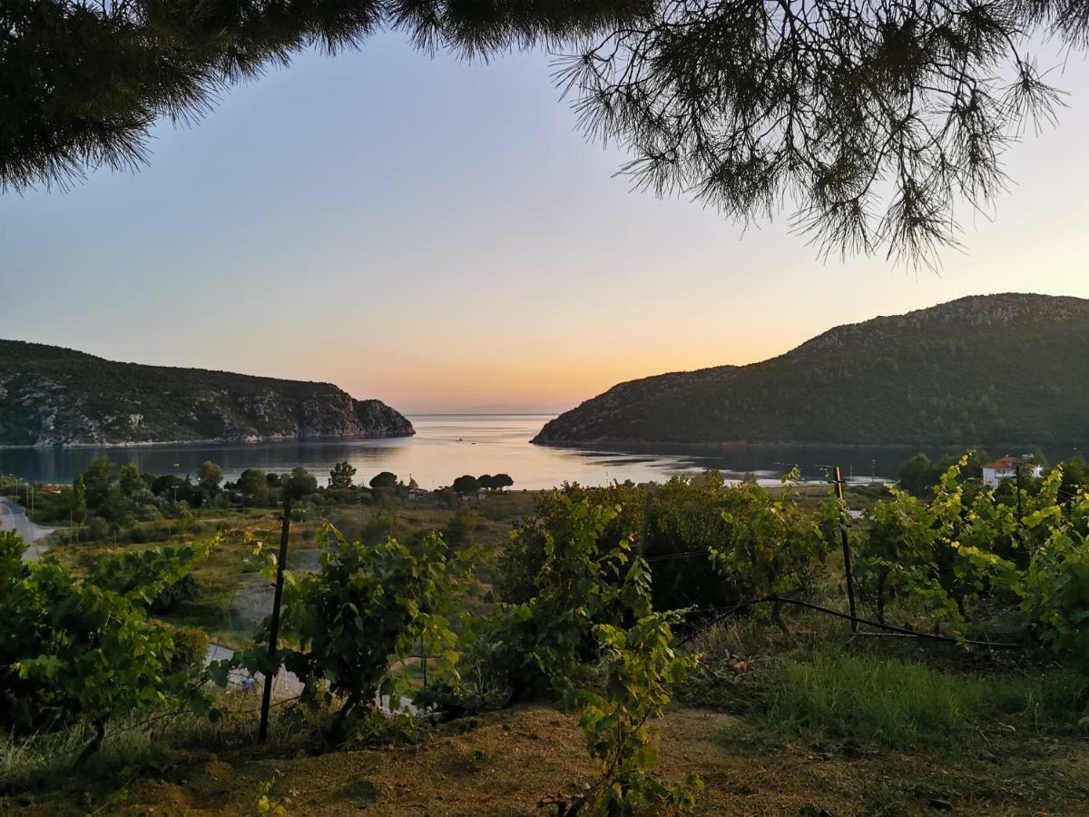 Porto Koufo Resort Bungalows Zewnętrze zdjęcie